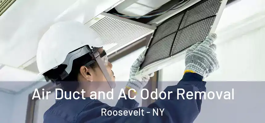  Air Duct and AC Odor Removal Roosevelt - NY