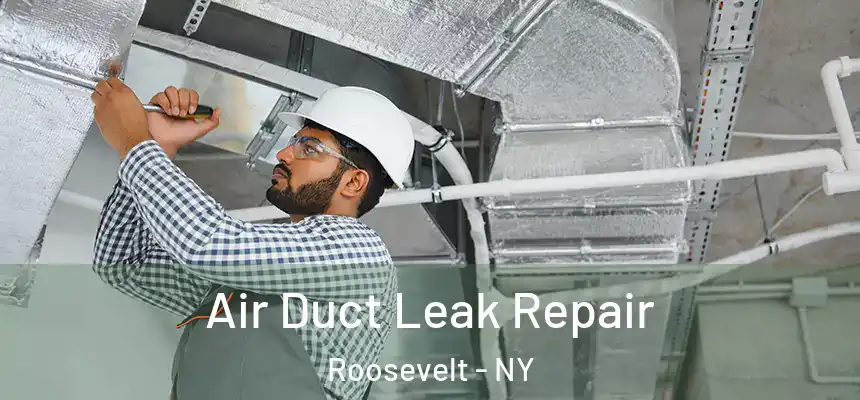  Air Duct Leak Repair Roosevelt - NY