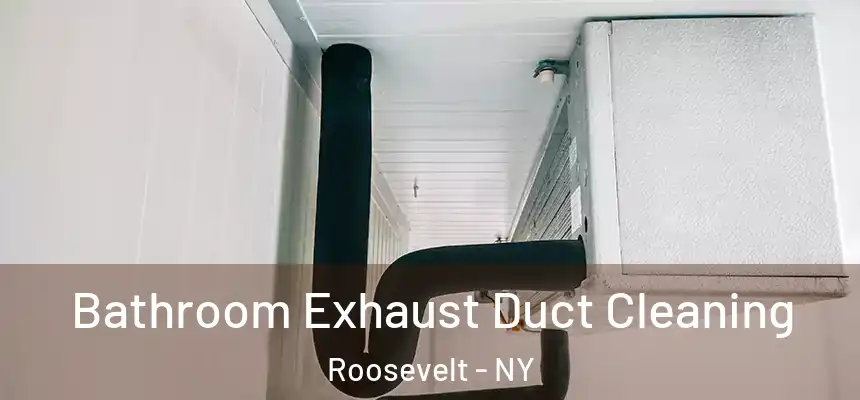 Bathroom Exhaust Duct Cleaning Roosevelt - NY