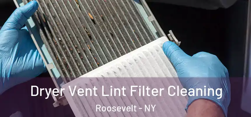  Dryer Vent Lint Filter Cleaning Roosevelt - NY