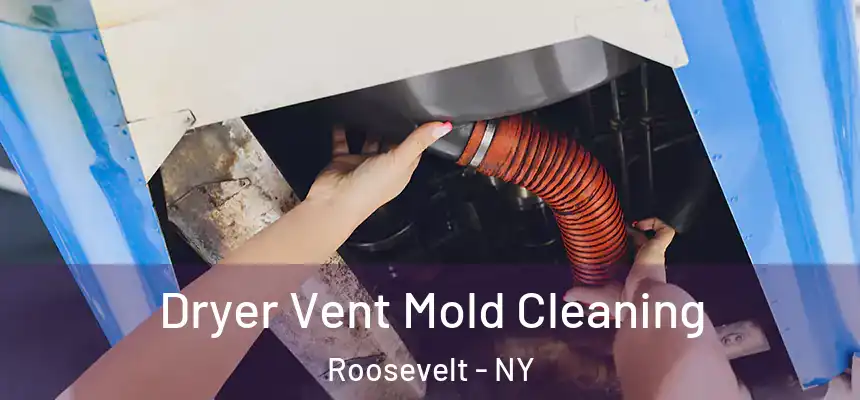  Dryer Vent Mold Cleaning Roosevelt - NY