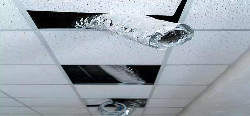 Our Air Duct Pet Hair Removal Services in Roosevelt, NY