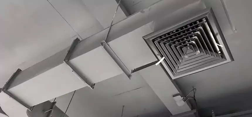 Restorative Allergy Relief Vent Cleaning – Coil, Blower & Housing Detail in Roosevelt