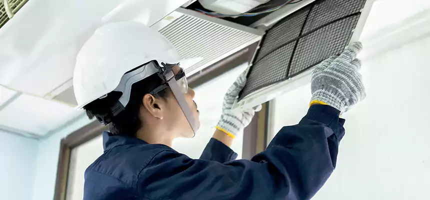 Our Mold & Mildew Removal from Air Ducts Services in Roosevelt, NY