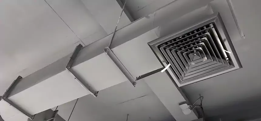 Our Pest Removal From Ducts Services in Roosevelt, NY