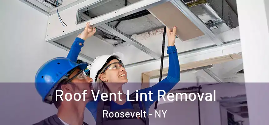  Roof Vent Lint Removal Roosevelt - NY