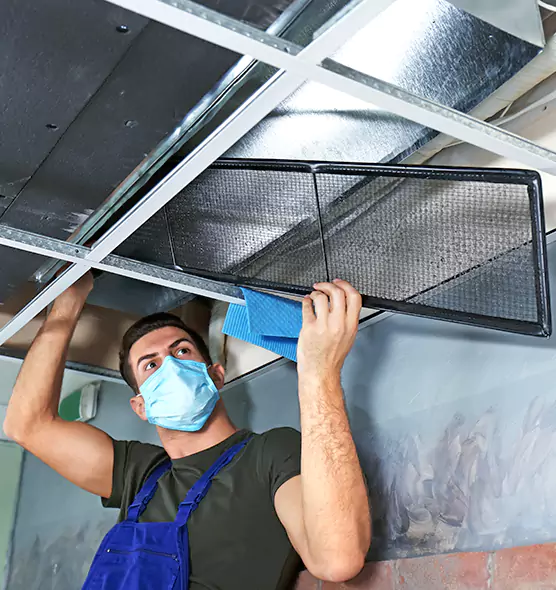 About Air Duct Bacteria Removal in Roosevelt