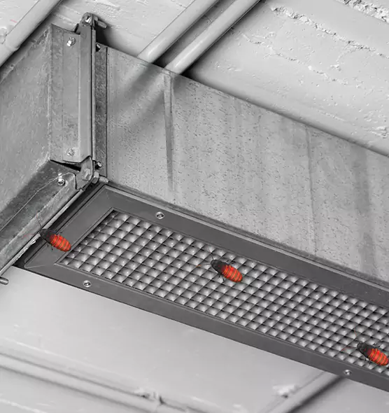 About Air Duct Cockroach Removal in Roosevelt, NY