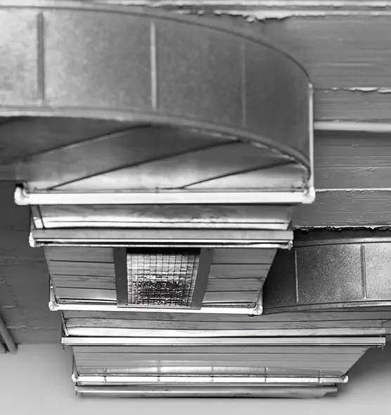 Professional Air Duct Pest Removal in Roosevelt, NY