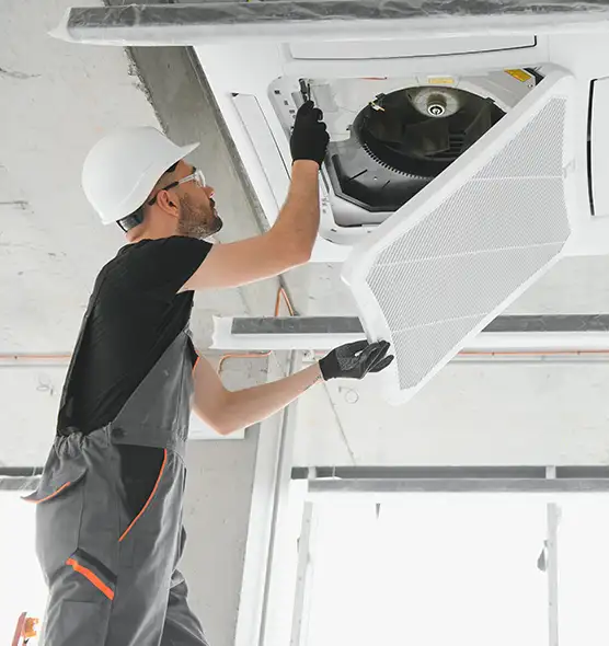 About Air Duct Rodent Removal in Roosevelt, NY