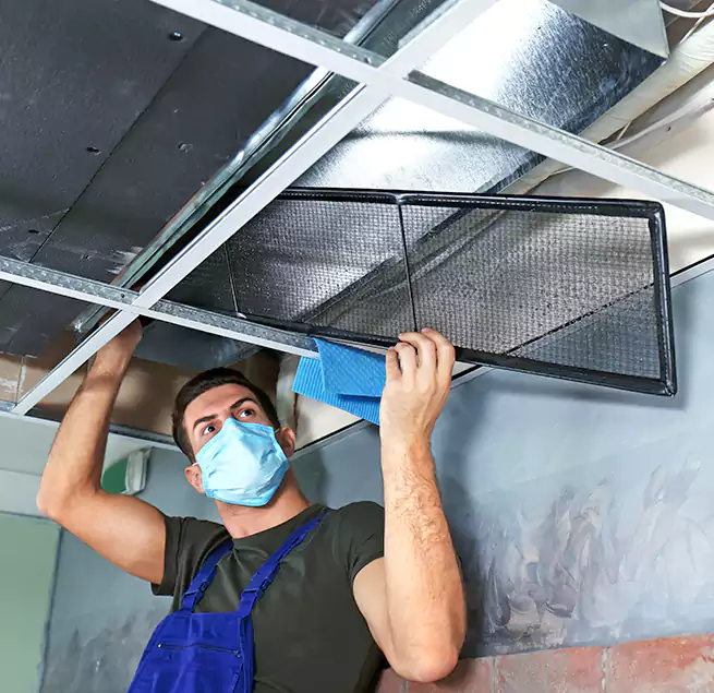 Why Homeowners Businesses Trust Us in Roosevelt, NY