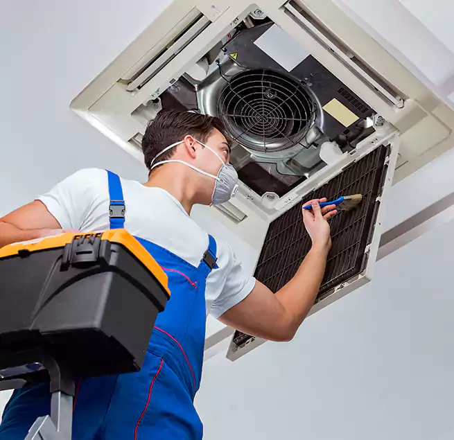 Why Homeowners & Businesses Trust Us in Roosevelt, NY