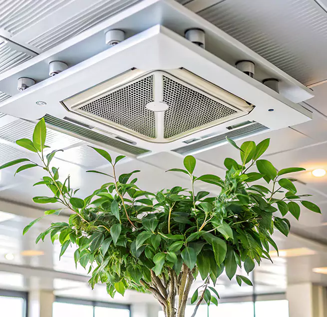 Why Homeowners & Businesses Trust Us in Roosevelt, NY