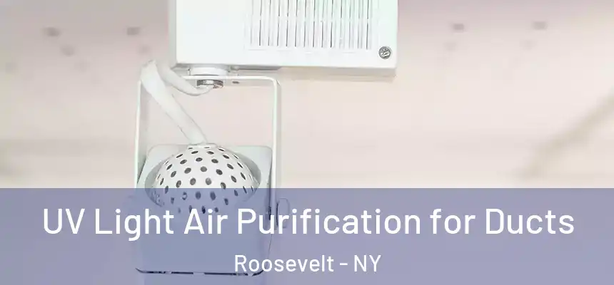  UV Light Air Purification for Ducts Roosevelt - NY